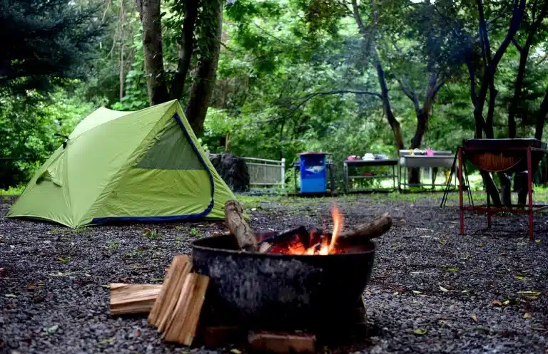 Can You Get Scabies From Camping