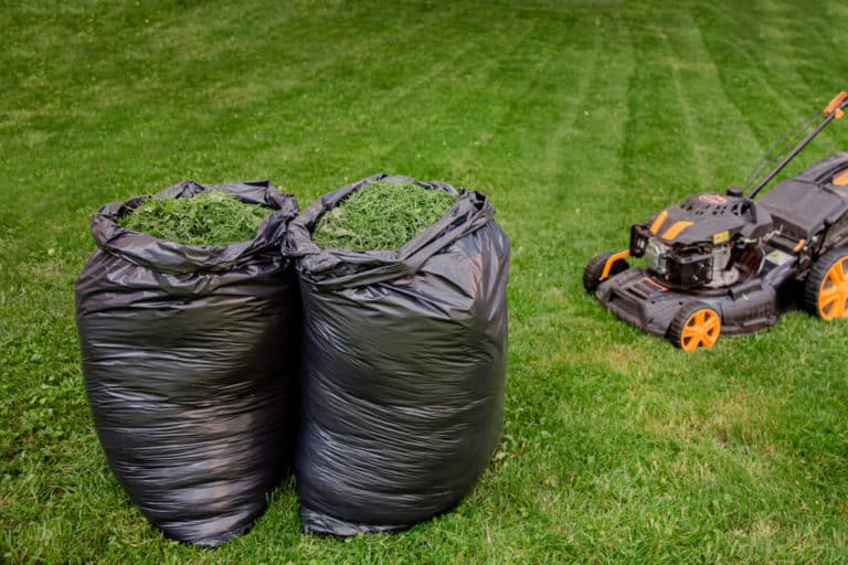How to mulch and bag leaves with a lawnmower