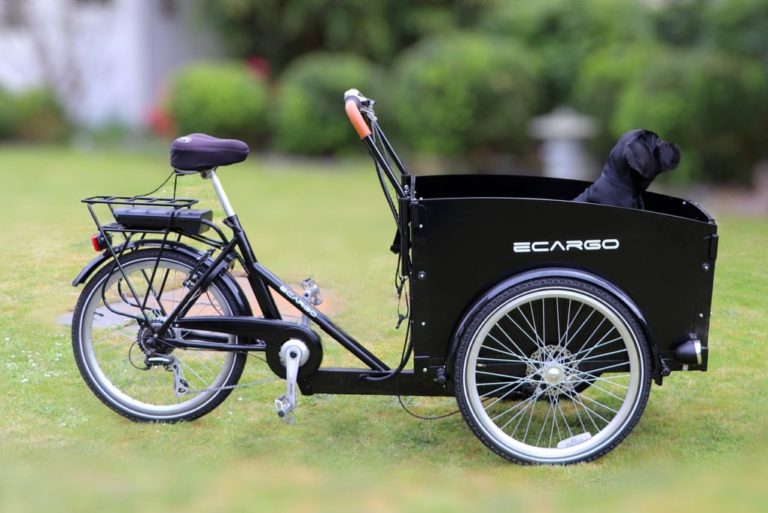Can An Electric Bike Pull A Trailer