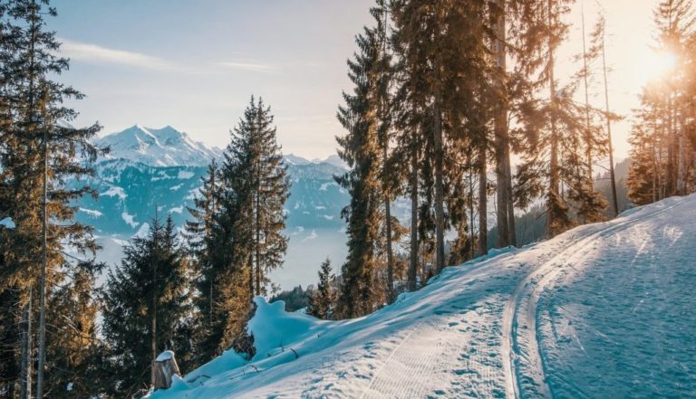 Can You Ski During Spring Break