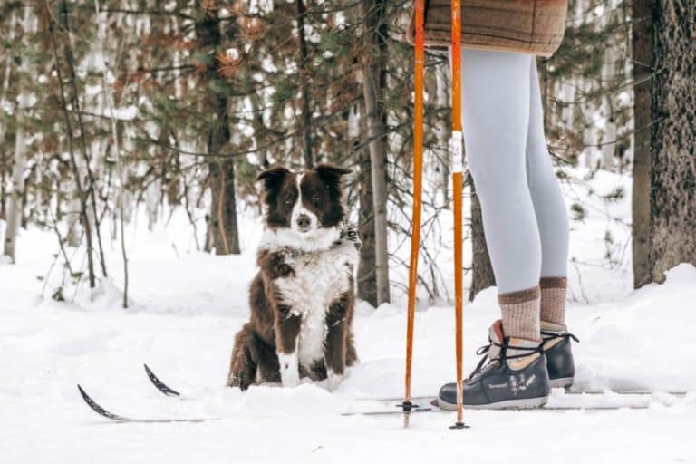 History Of Crosscountry Skiing