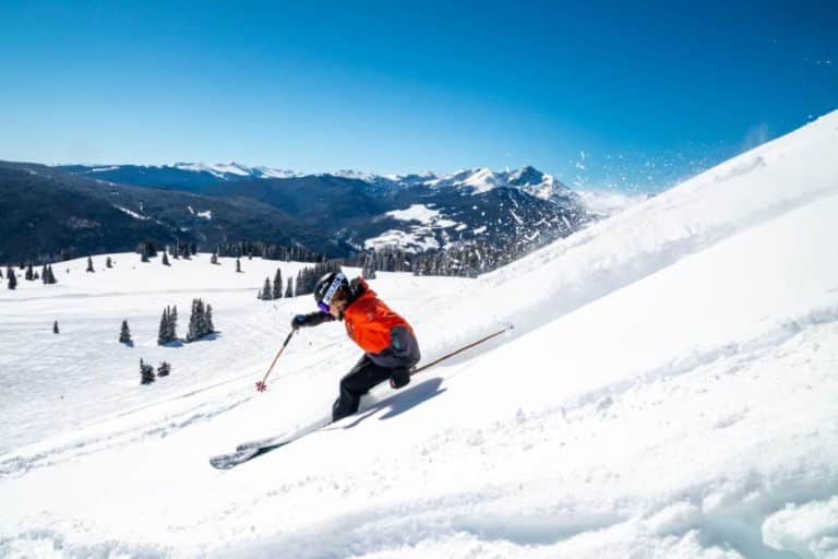 parallel skiing vs carving