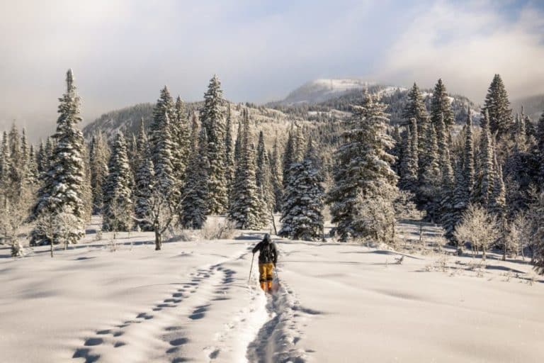 skiing with herniated disc