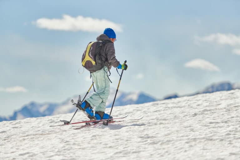 CrossCountry Ski Skin Care How To Clean And Maintain Ski Skins
