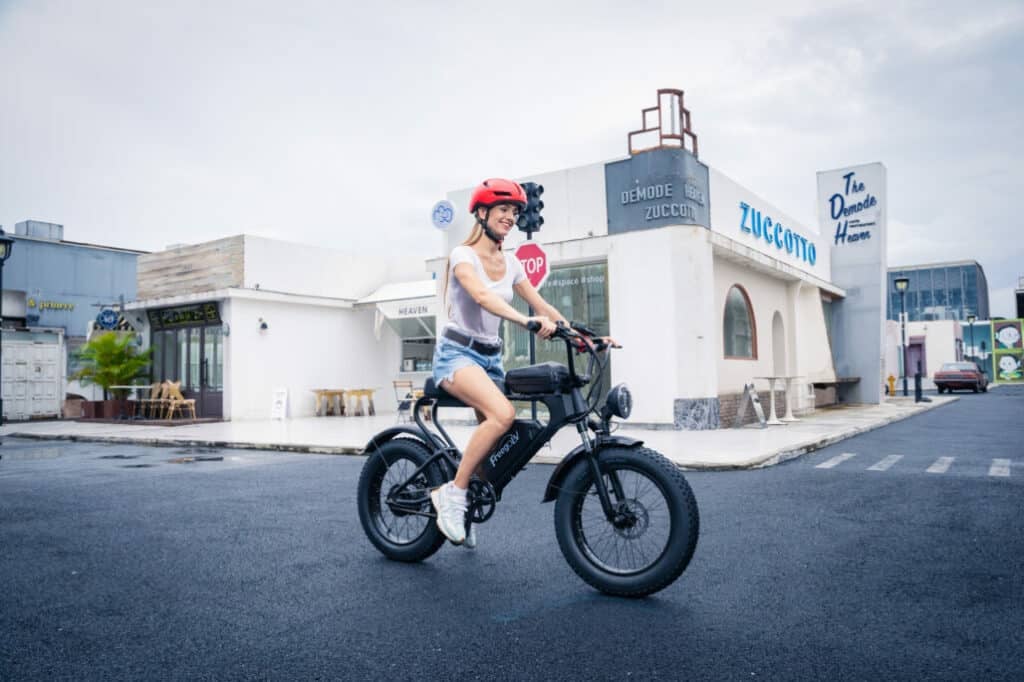 Freego e-bike Brand