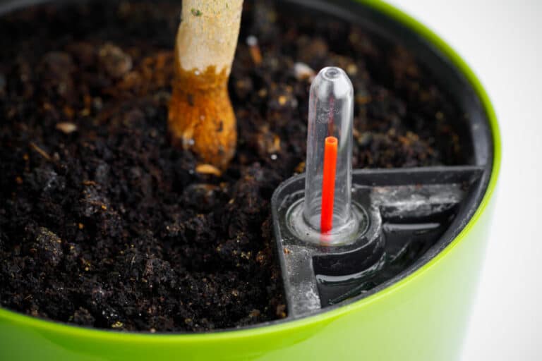 Self Watering Plants Ideas
