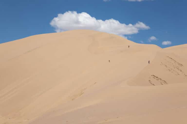 Skiing on Sand vs. on Snow Differences Similarities