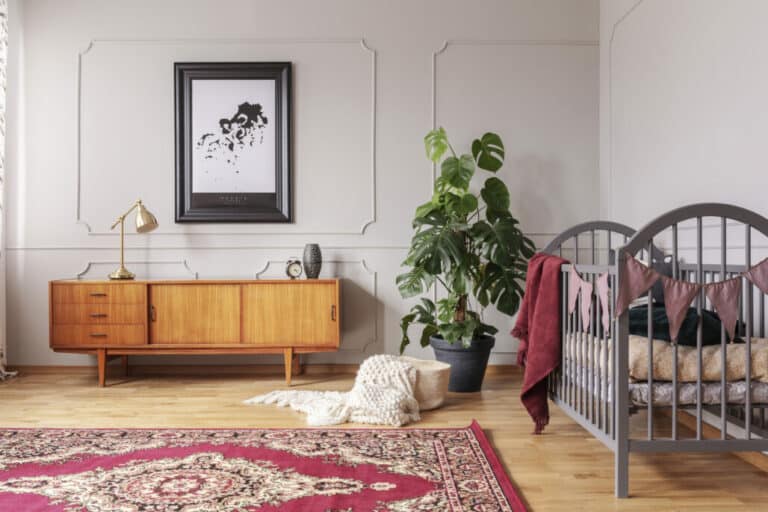 Best Plants For A Baby Nursery