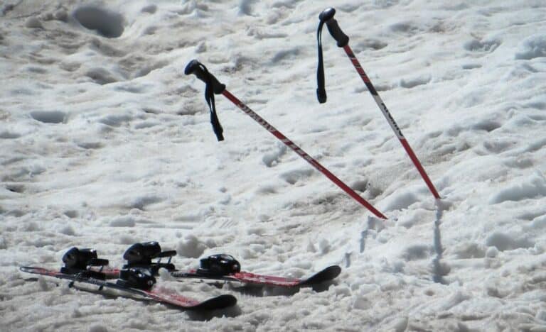 Ski Pole Basket Types