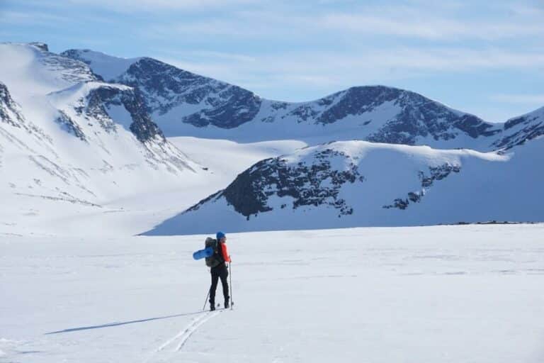 Two Pairs Of Skis In One Bag