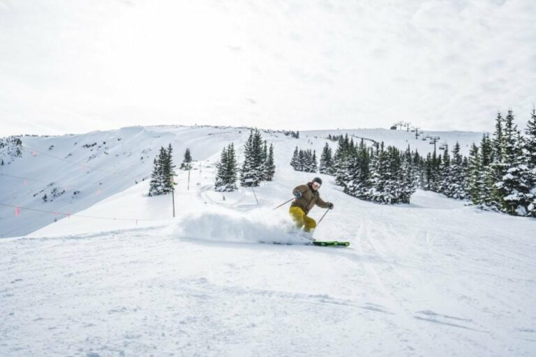Can You Ski Powder With Carving Skis