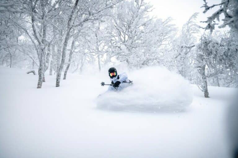 Self Arrest Skiing