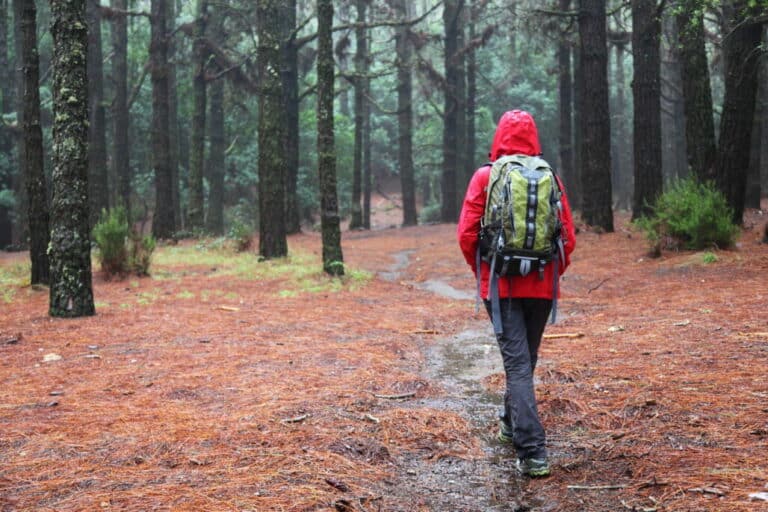 Tips And Tricks On How To Go Backpacking In The Rain
