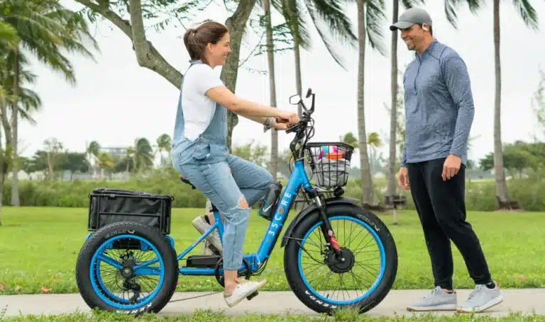 Types Of Electric Trikes