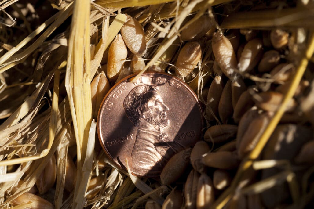 1957 Wheat Penny Values: An Insightful Guide | HobbyKraze