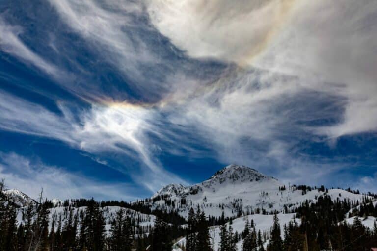 Brighton Vs Snowbird