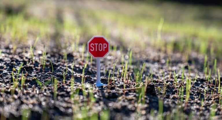 Can I Use Miracle-Gro Garden Soil for Grass? Sowing the Seed of Truth