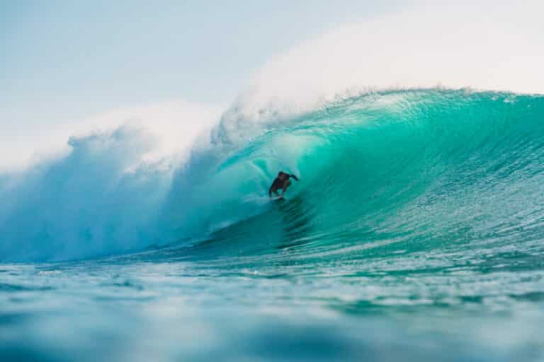Onshore vs Offshore Wind: Exploring Key Differences for Sustainability
