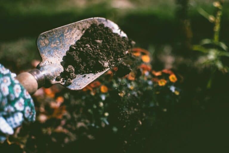 mix potting soil with garden soil