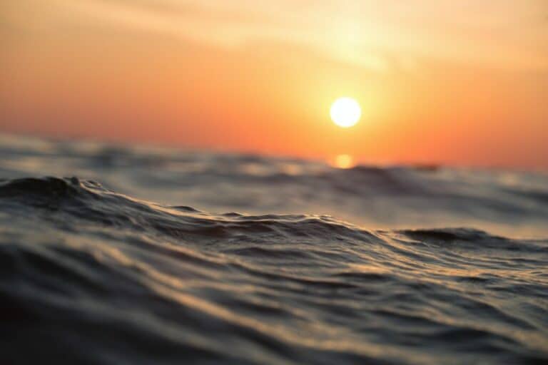 Ultimate Guide to Reading and Understanding Waves: Master the Science of Oceanography