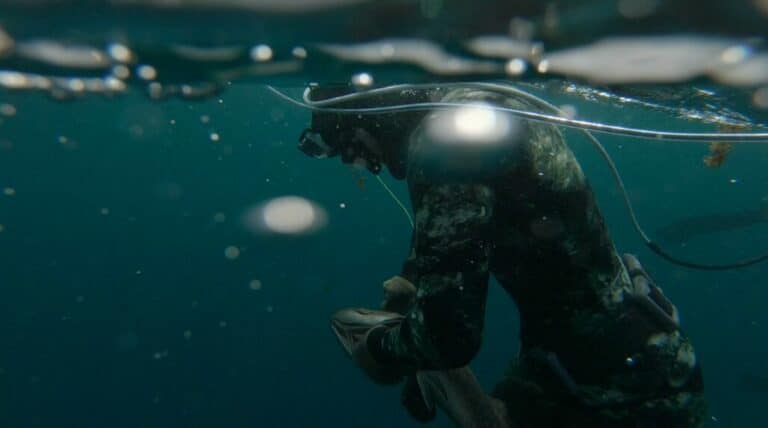 why you must use spring fin straps