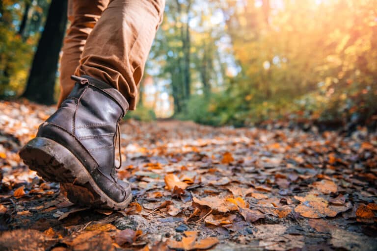 Can You Wear Hiking Boots Every Day? A Brief Guide on Daily Use